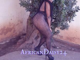 AfricanDaisy24