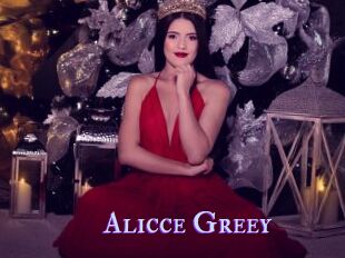 Alicce_Greey