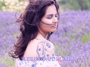 Aerinbaudelaire