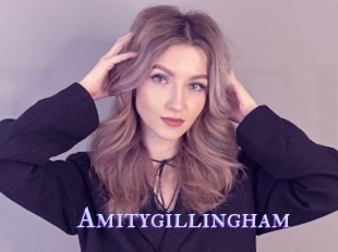 Amitygillingham