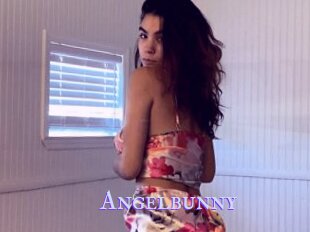 Angelbunny