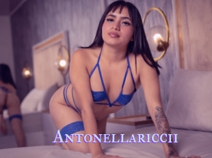 Antonellariccii