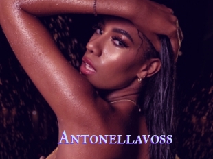 Antonellavoss