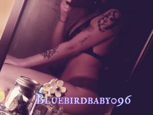 Bluebirdbaby096