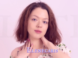 Elenecaris