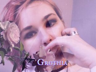 Grothia