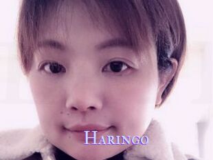 Haringo