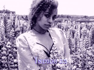 Indigo_22