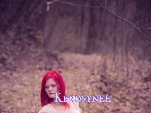 Kerosynee