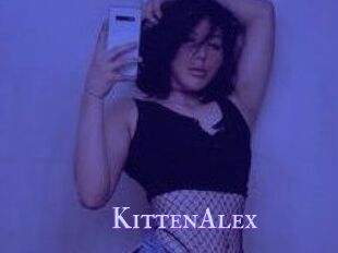 KittenAlex