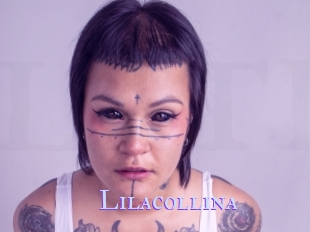 Lilacollina