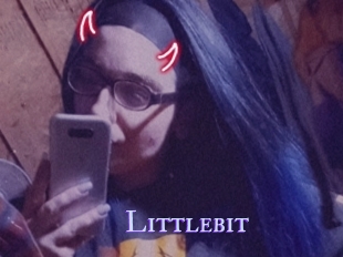Littlebit
