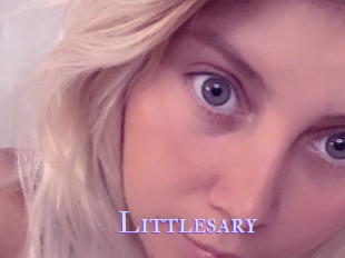 Littlesary