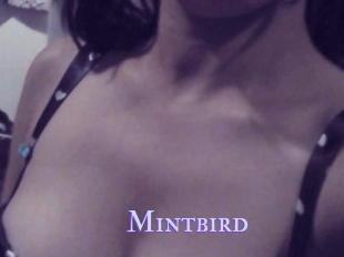 Mintbird