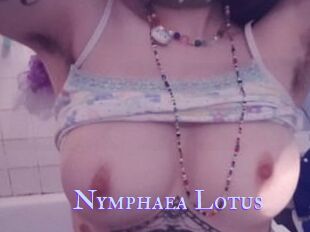 Nymphaea_Lotus