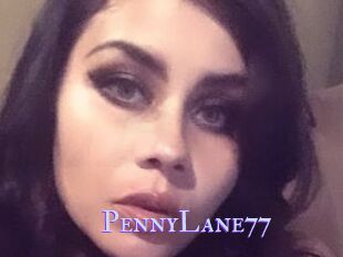 PennyLane77