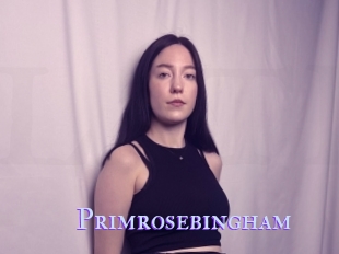Primrosebingham
