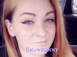 Sn0wbunny