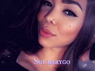 Soy_karygo