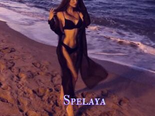Spelaya