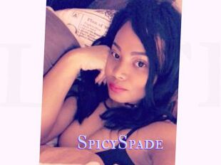 SpicySpade