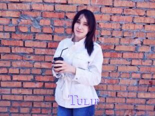 Tulip