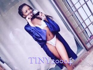 TINY20004