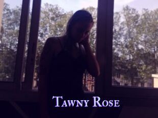 Tawny_Rose