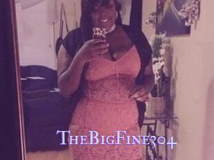 TheBigFine304
