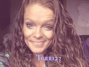 Torri23
