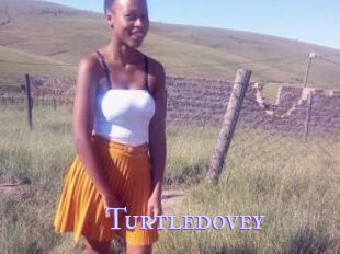 Turtledovey