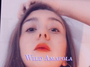 Wild_Amapola